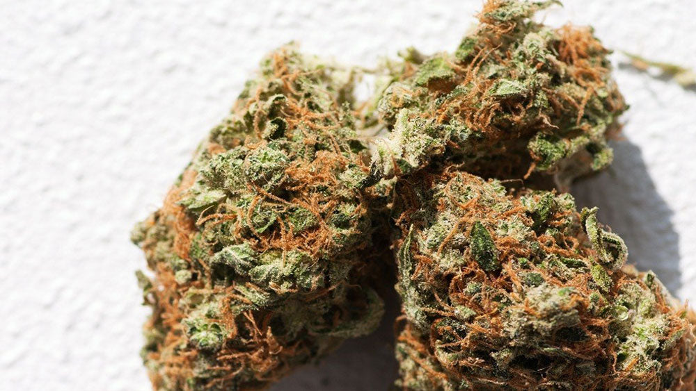 marijuana-hair-loss-2014